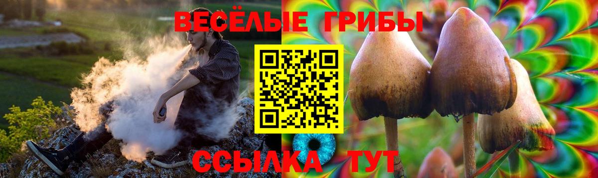 Псилоцибиновые грибы ЛСД  Псилоцибиновые грибы прущие грибы  Армавир  Вход с VPN 